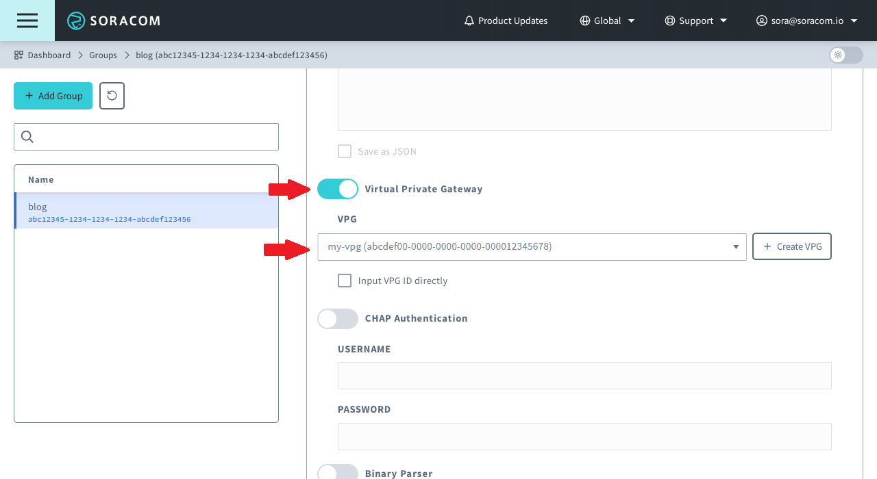 Virtual Private Gateway option