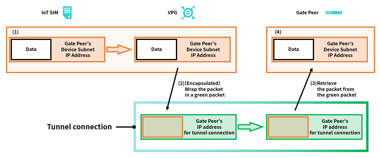 Tunneling Techniques - Packet Schematic Diagram