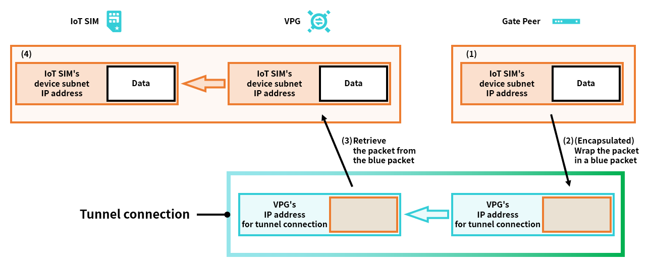 Tunneling Techniques - Packet Schematic Diagram