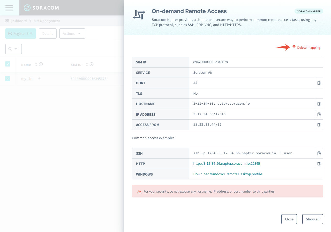 Soracom User Console with a Napter connection selected and 'Delete mapping' button highlighted