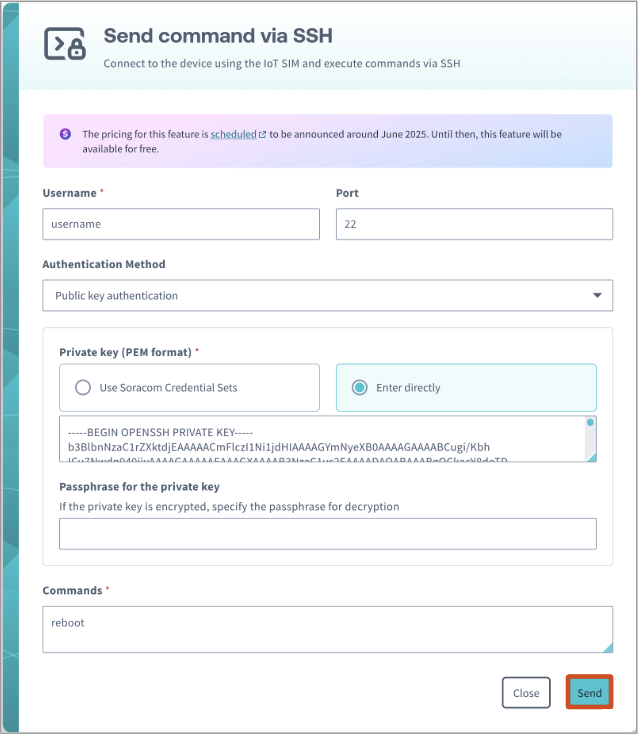 Send Command via SSH with public key