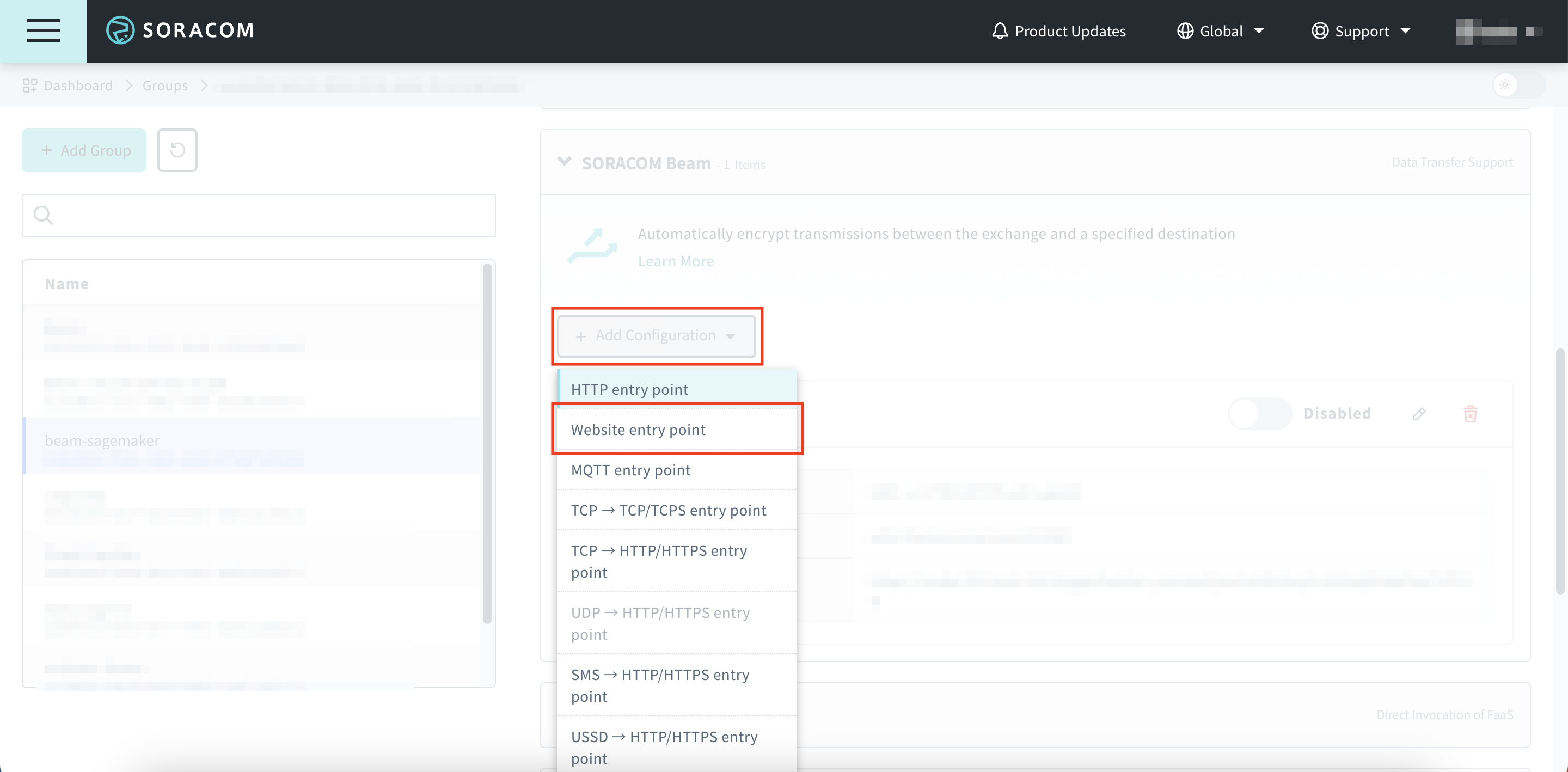 Add Website Entry Point Configuration