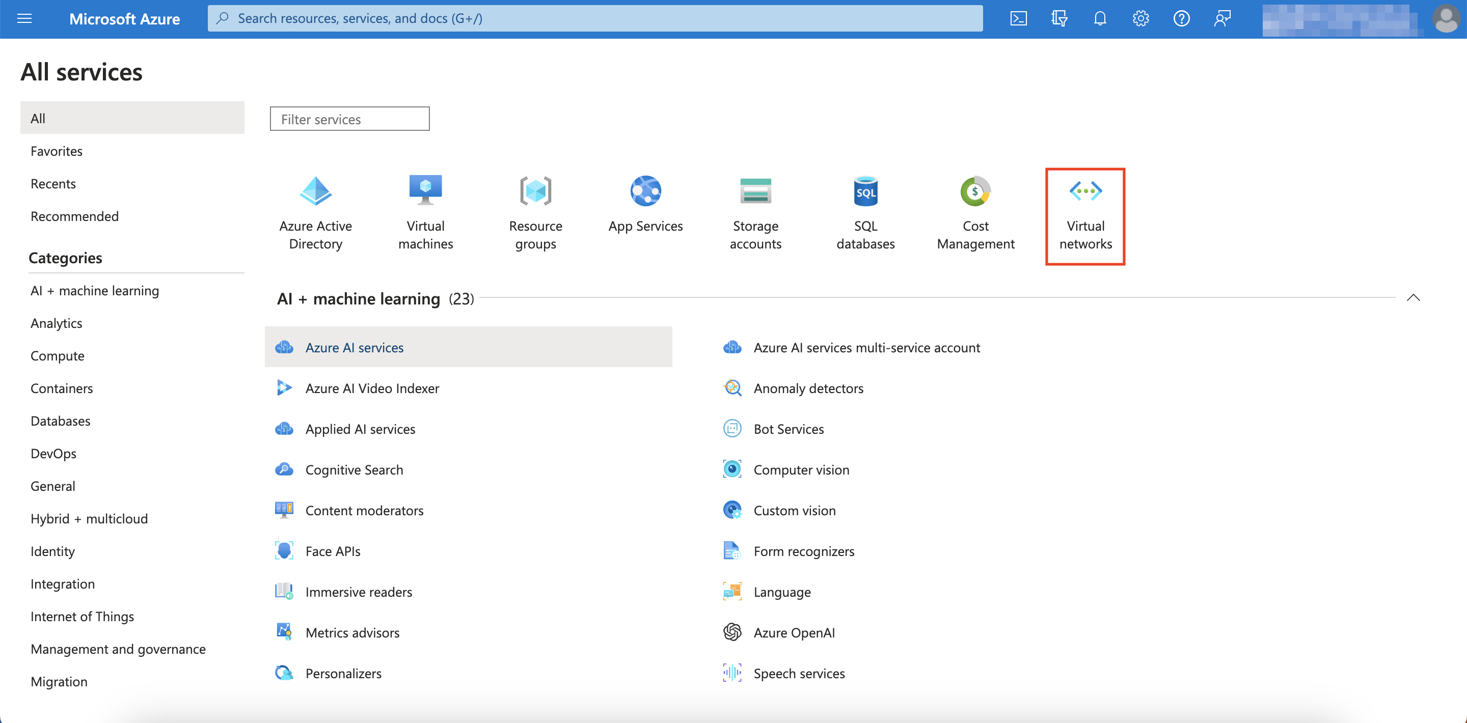 Virtual Networks Service Option