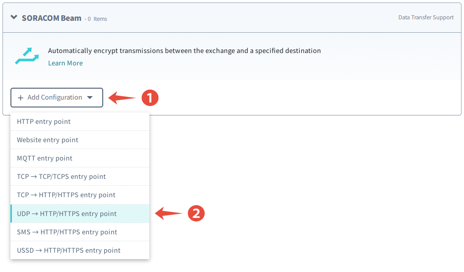 Add a UDP to HTTP/HTTPS configuration